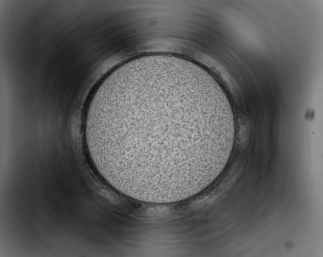 X0000103930882200810311515