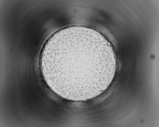 X0000103930883200810311515