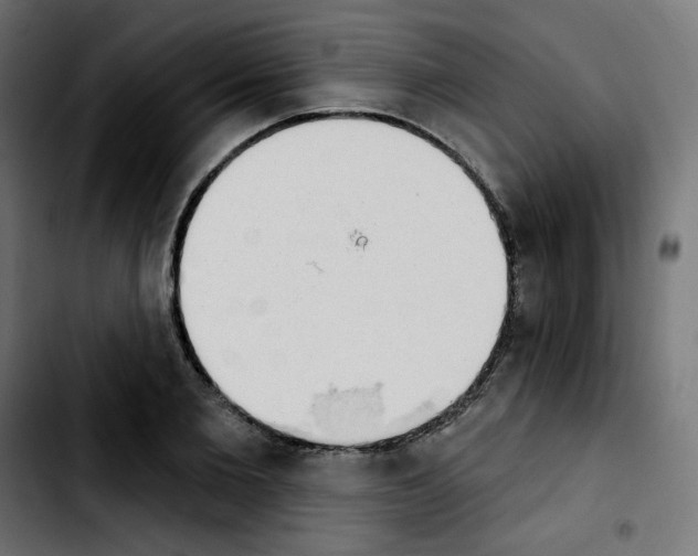 X0000103930885200810311515