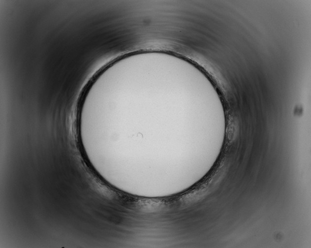 X0000103930886200810311515