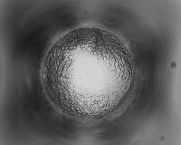 X0000103930887200810311515