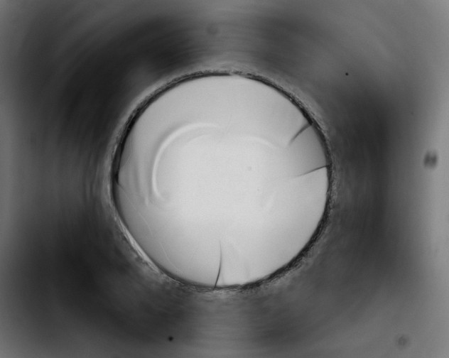 X0000103930888200810311515