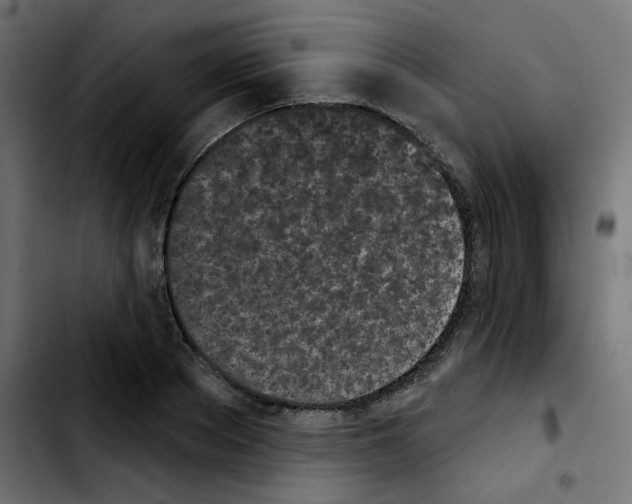 X0000103930889200810311515