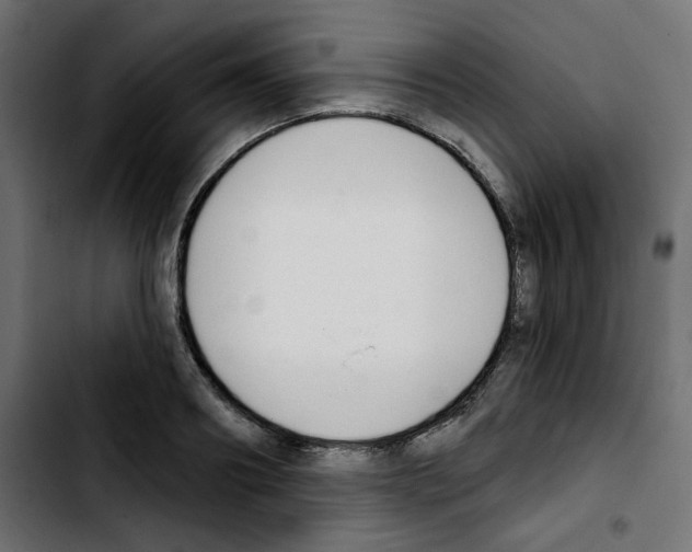 X0000103930890200810311515