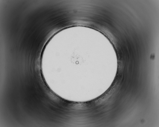 X0000103930891200810311515