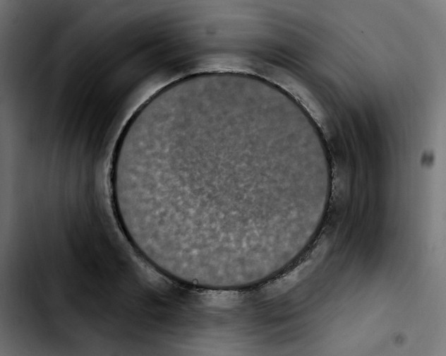 X0000103930893200810311514