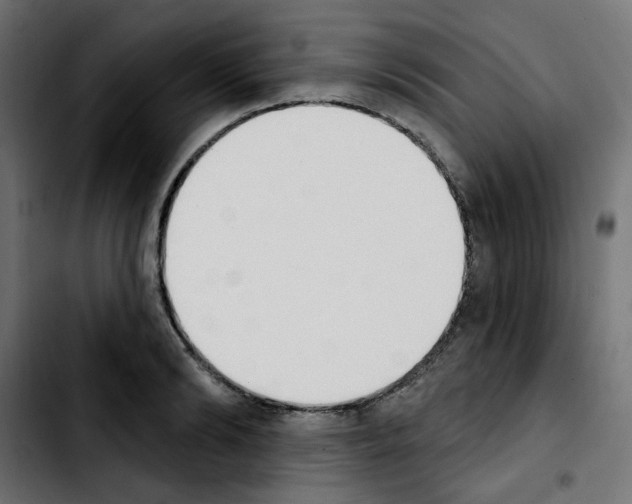 X0000103930894200810311514