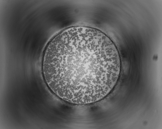 X0000103930896200810311514