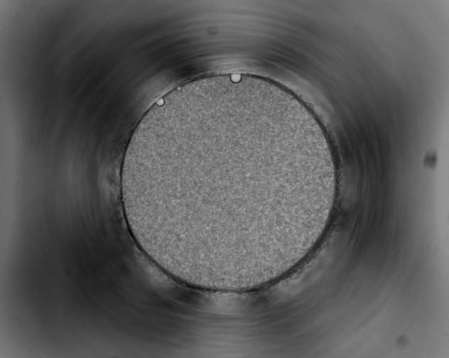 X0000103930897200810311514