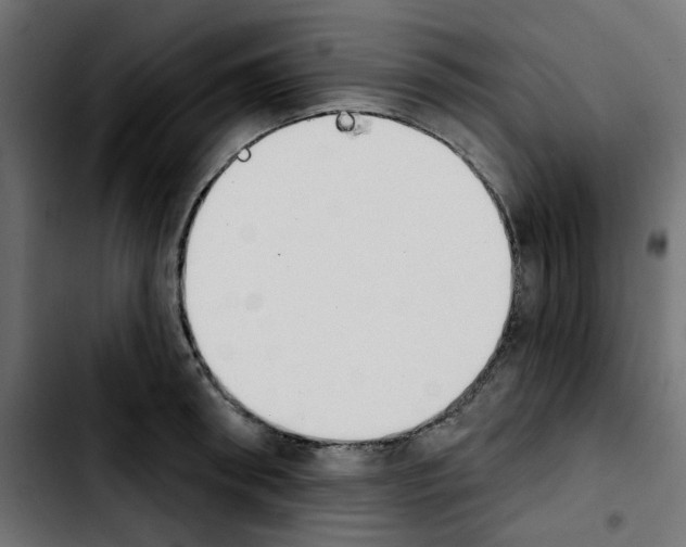 X0000103930898200810311514