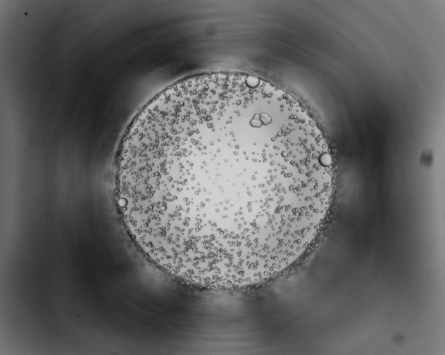 X0000103930900200810311514