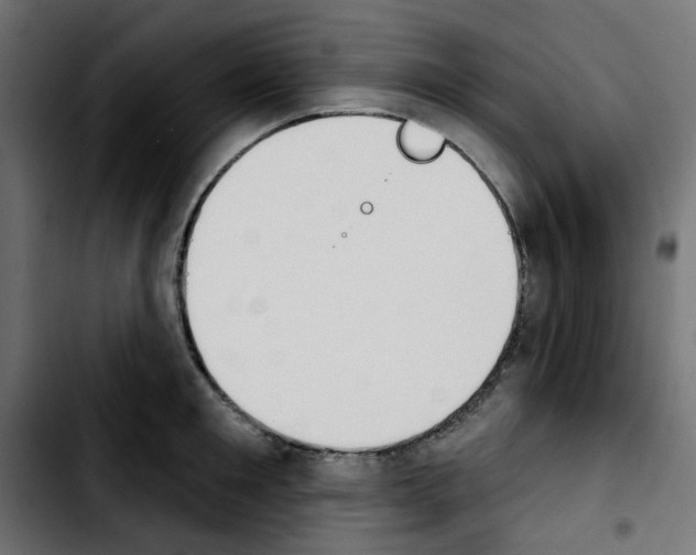 X0000103930901200810311514