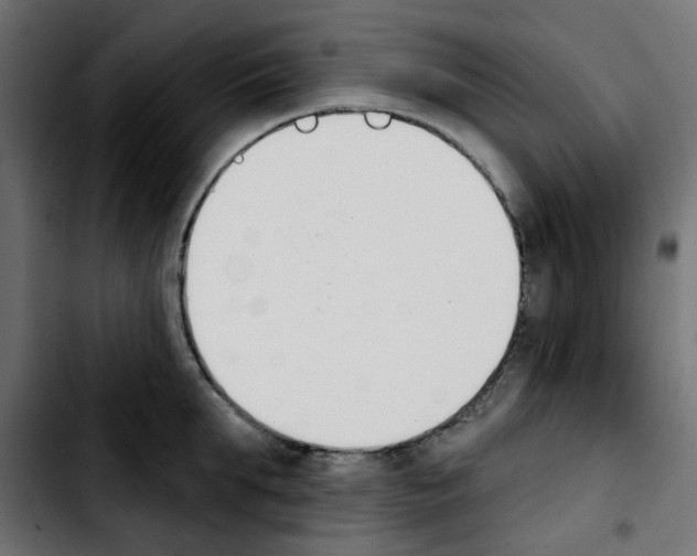 X0000103930903200810311514