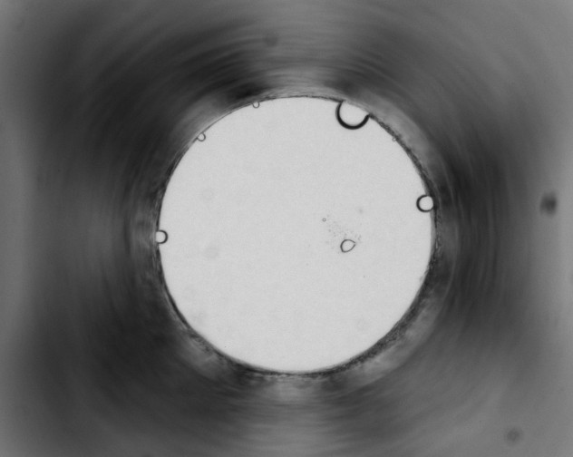 X0000103930905200810311514