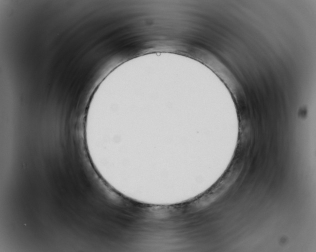 X0000103930906200810311514