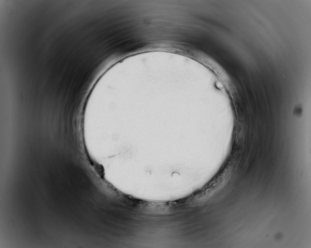 X0000103930907200810311514