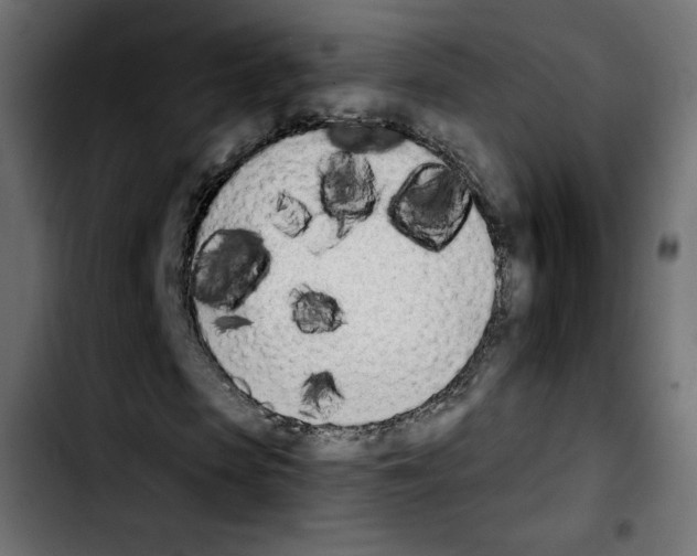 X0000103930913200810311514