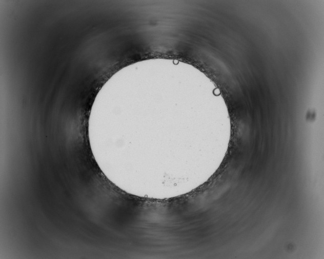 X0000103930914200810311514