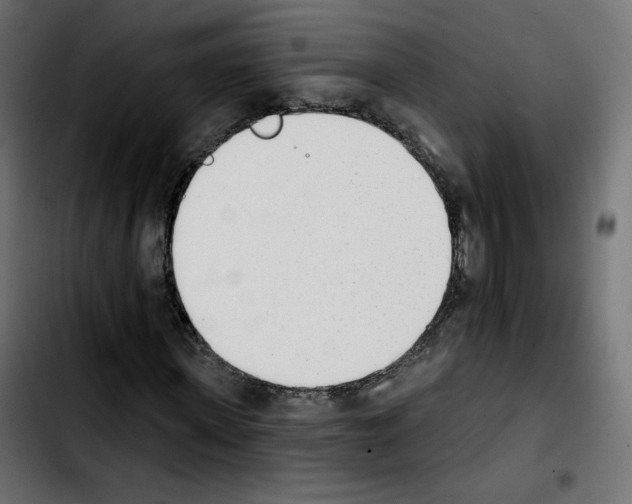 X0000103930915200810311514