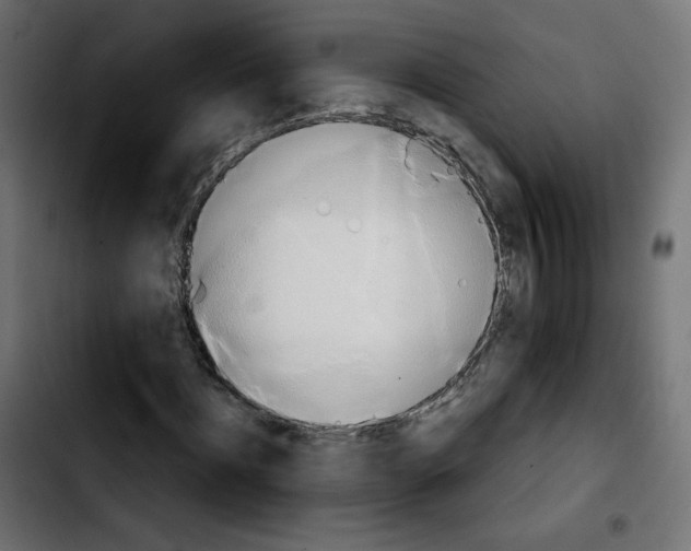 X0000103930916200810311514