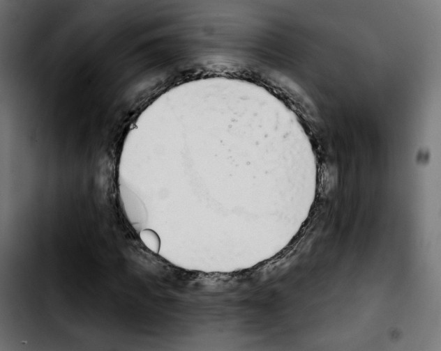 X0000103930917200810311514
