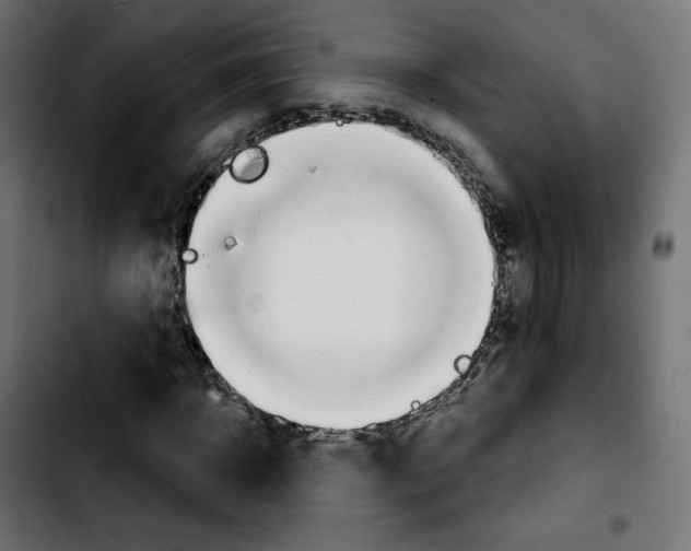 X0000103930918200810311514