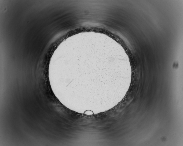 X0000103930919200810311514