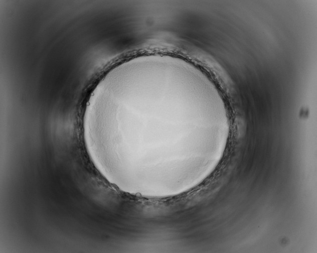 X0000103930920200810311514