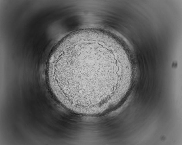 X0000103930921200810311514