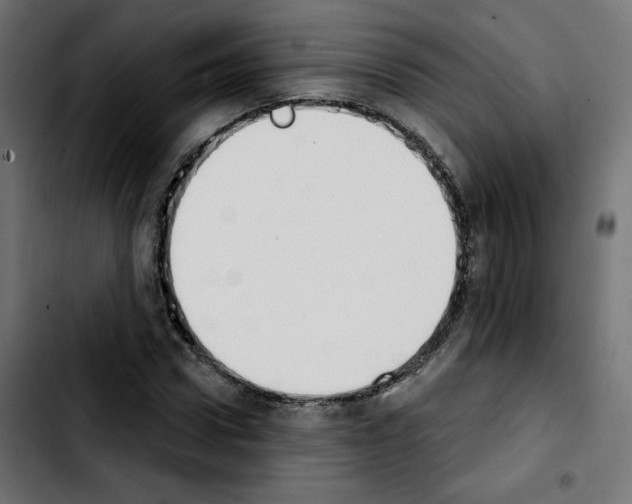 X0000103930922200810311514