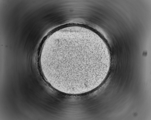 X0000103930923200810311514