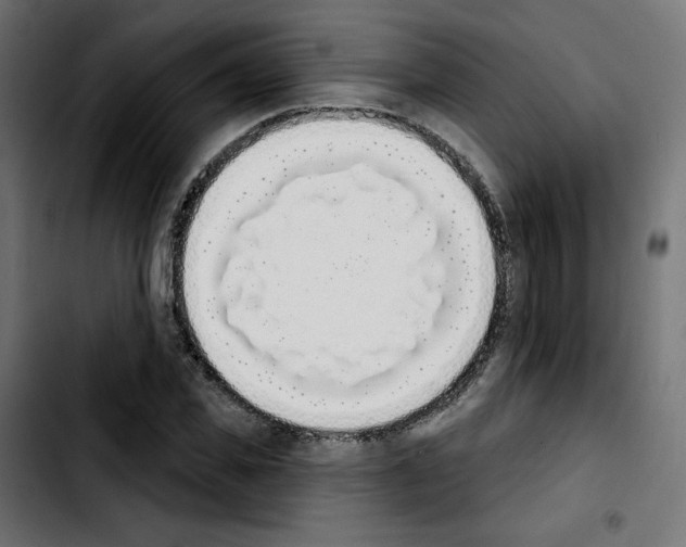 X0000103930925200810311514