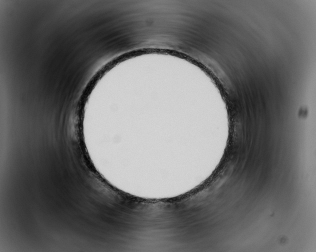 X0000103930926200810311514