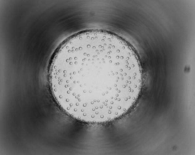 X0000103930927200810311514