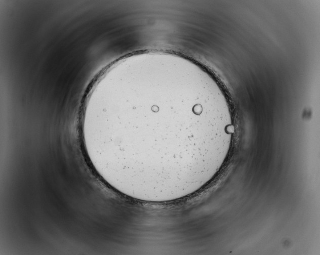 X0000103930928200810311514