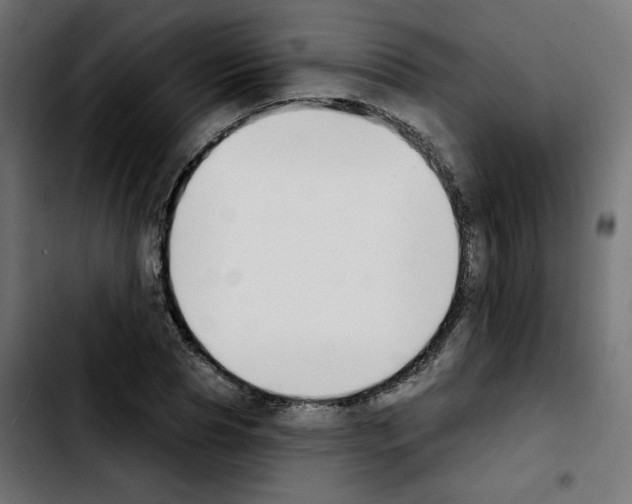 X0000103930929200810311514