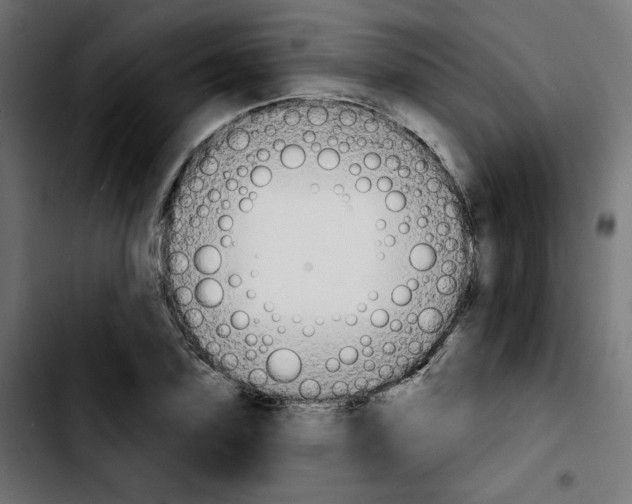 X0000103930931200810311514