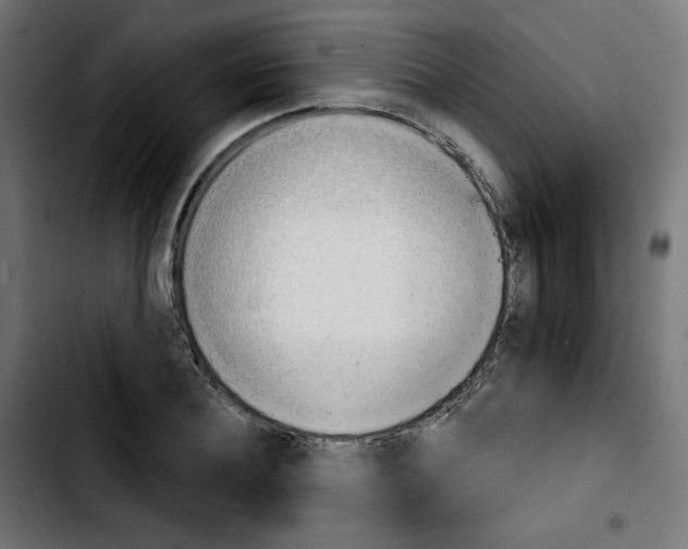 X0000103930932200810311514