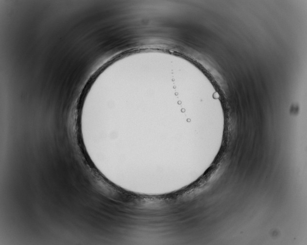 X0000103930933200810311514