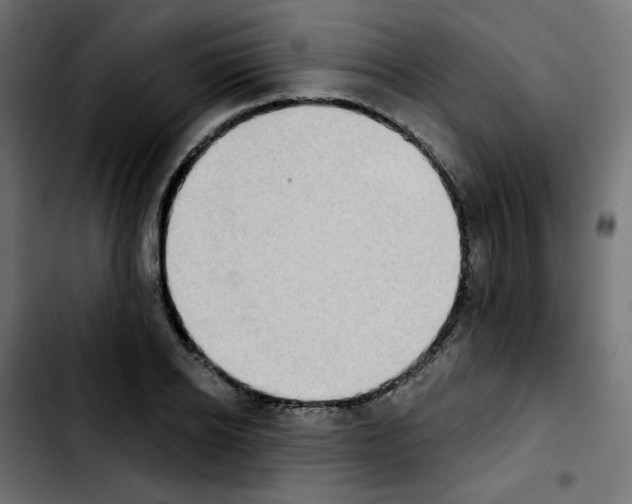 X0000103930934200810311514