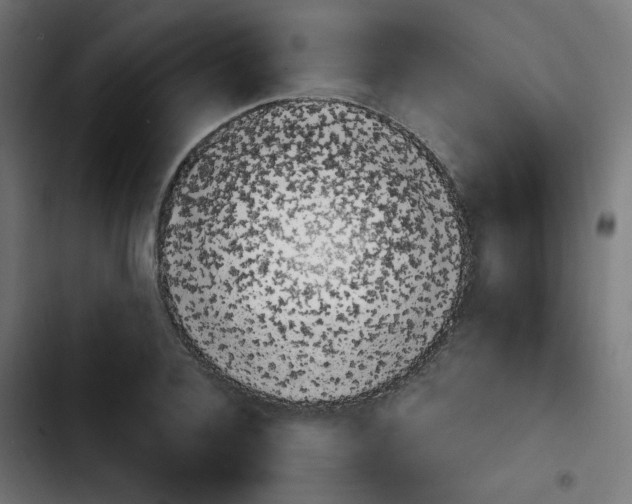 X0000103930936200810311514