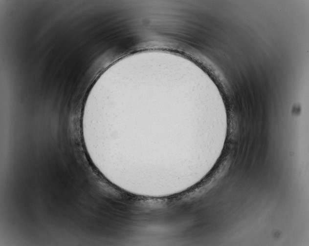 X0000103930937200810311514