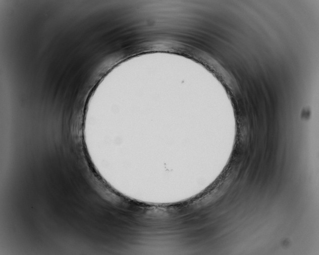 X0000103930938200810311514
