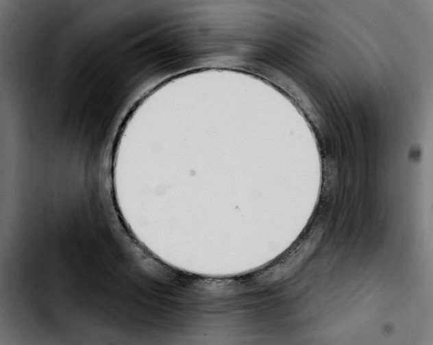 X0000103930939200810311514