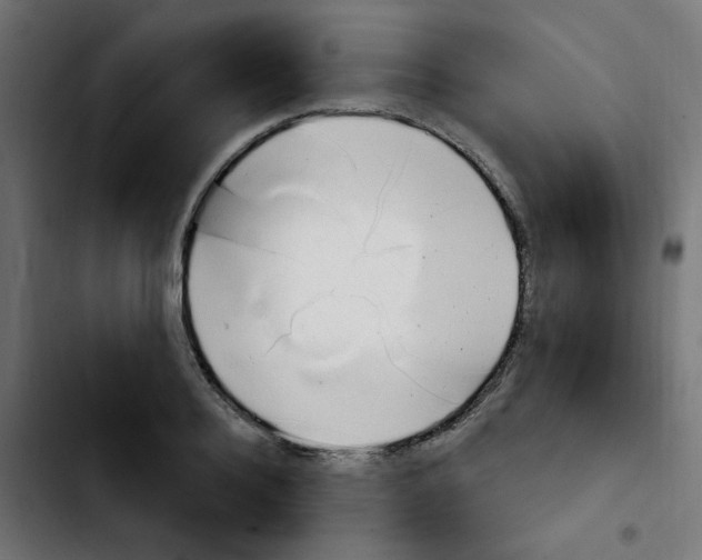 X0000103930940200810311514