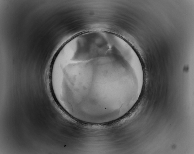 X0000103930941200810311514