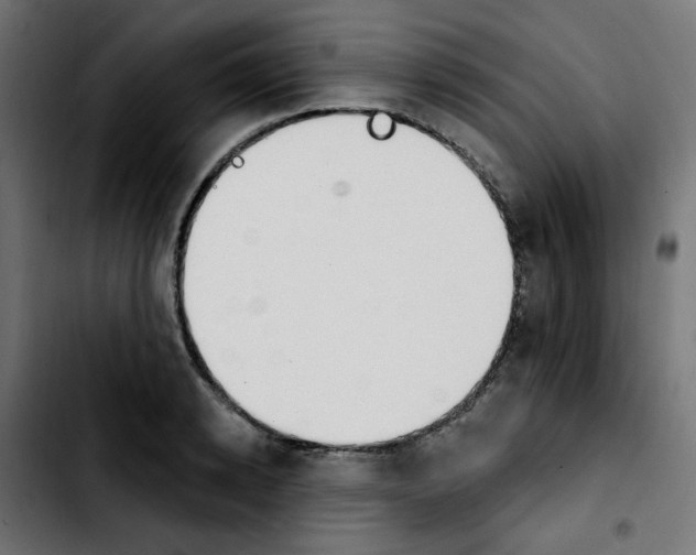 X0000103930942200810311514
