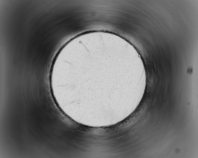 X0000103930943200810311514