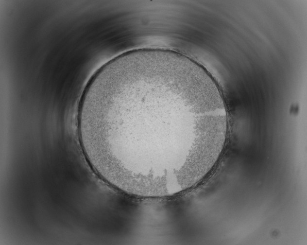 X0000103930944200810311514