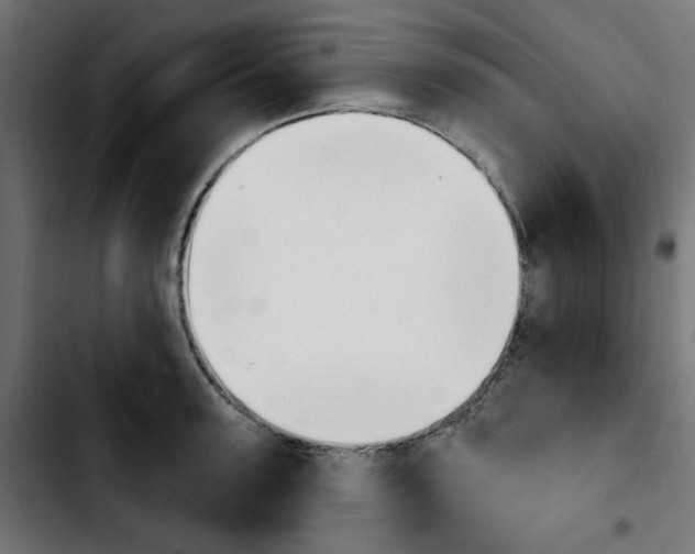 X0000103930947200810311514